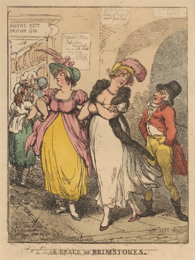 Um par de borboletas-de-azufre de Thomas Rowlandson
