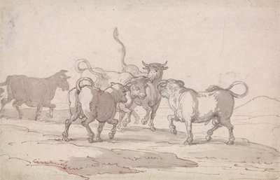 Um grupo de cinco touros prestes a lutar de Thomas Rowlandson