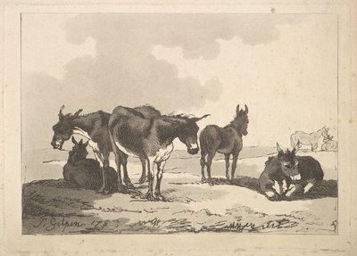 Um grupo de cinco burros, três em pé, dois deitados, 1783-87. de Thomas Rowlandson