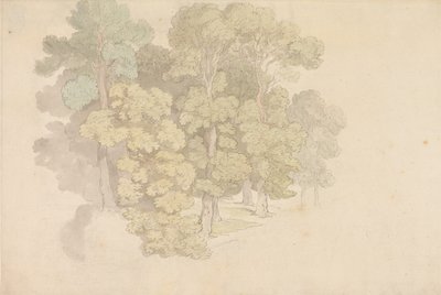 Um grupo de árvores de Thomas Rowlandson