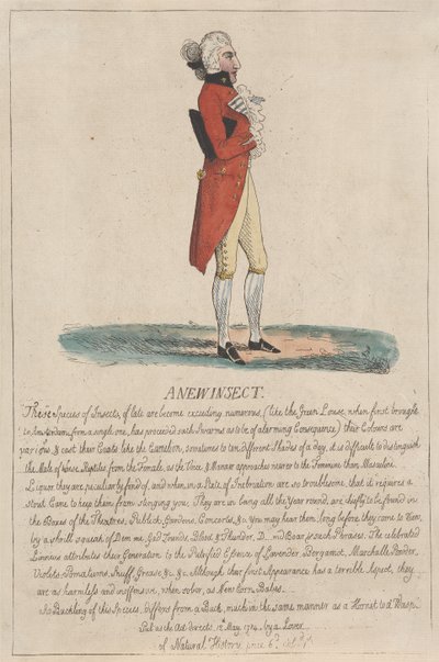 Um novo inseto de Thomas Rowlandson