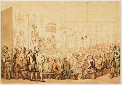 Uma palestra sobre anatomia na Academia Real de Artes de Thomas Rowlandson