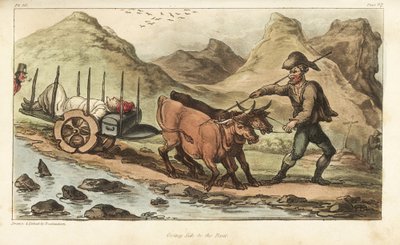 Alferes Johnny Newcome, doente com disenteria, levado por carro de boi para Salamanca, Espanha. Gravura em chapa de cobre colorida à mão, desenhada e gravada por Thomas Rowlandson do Coronel David Roberts