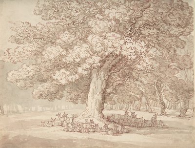 Rebanho de veados sob um carvalho, 1775-1827. de Thomas Rowlandson