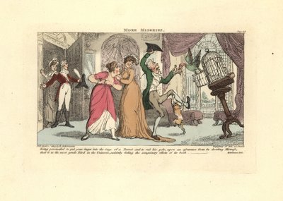 Homem a ser atacado por um papagaio e um gato numa sala de visitas. de Thomas Rowlandson