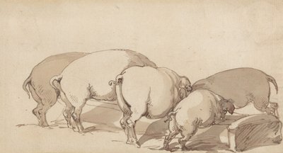 Porcos num comedouro de Thomas Rowlandson