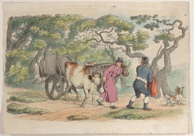Placa 40, de World in Miniature, 1816., 1816. de Thomas Rowlandson