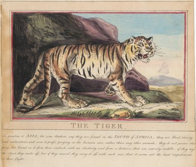 Conjunto de oito, com página de rosto. «Animais Estrangeiros e Nacionais». 5. O Lobo de Thomas Rowlandson