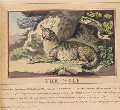 Conjunto de oito, com página de rosto. «Animais Estrangeiros e Nacionais». 5. O Lobo de Thomas Rowlandson