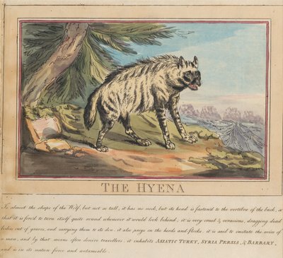 Conjunto de oito, com página de rosto. «Animais Estrangeiros e Nacionais». 6. A hiena de Thomas Rowlandson