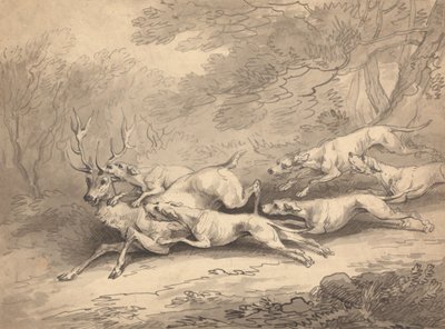 Veado abatido por uma matilha de cães de Thomas Rowlandson