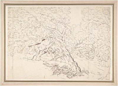 Estudo das árvores de Thomas Rowlandson