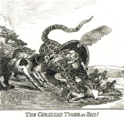 O Tigre da Córsega descascado (Napoleão Bonaparte), caricatura 1808 de Thomas Rowlandson
