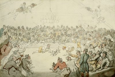 O Westminster Pitt, 1798 de Thomas Rowlandson