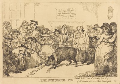 O Porco Maravilhoso de Thomas Rowlandson