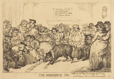 O Porco Maravilhoso de Thomas Rowlandson