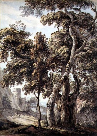 Estudo das árvores (caneta e tinta e aguarela sobre papel) de Thomas Sandby