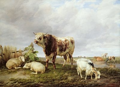 Gado no Prado de Thomas Sidney Cooper