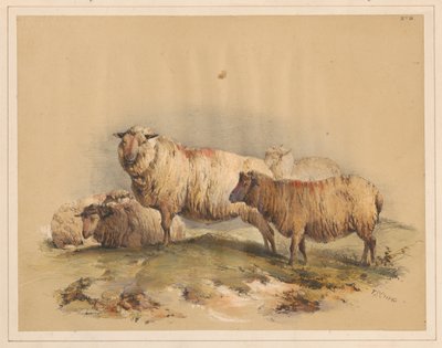 Ovelhas, n.º 18 de Thomas Sidney Cooper