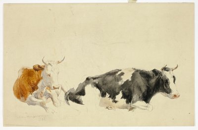 Duas vacas reclinadas (frente); esboço de uma vaca de pé (verso) de Thomas Sidney Cooper