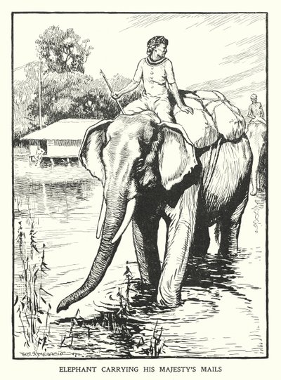Elefante transportando a correspondência de Sua Majestade (litografia) de Thomas Somerfield
