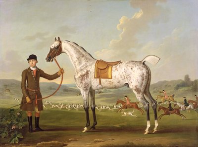 Cipião, caçador manchado do coronel Roche, c.1750 de Thomas Spencer