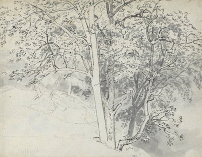 Estudo das Árvores de Thomas Stothard