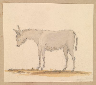 Estudo de um burro, c.1820 (caneta e tinta, lavagem, aguarela) de Thomas Streatfeild
