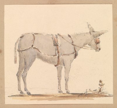 Estudo de um burro com freio e arreios, c.1820 (lápis com lavagem castanha e cinzenta sobre papel) de Thomas Streatfeild