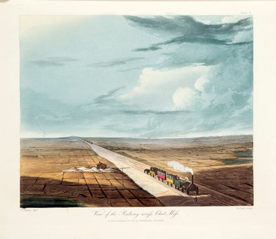 Rainhill Bridge, Chat Moss, perto de Liverpool, 1831 de Thomas Talbot Bury