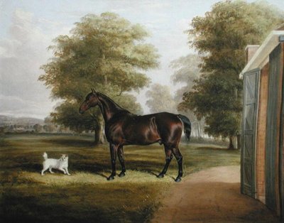 Um Cavalo de Baía com um Terrier de Thomas W. Bretland