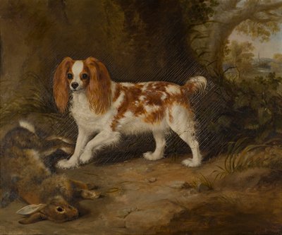 Um Spaniel com uma Lebre Morta, c.1822-74 (óleo sobre tela) de Thomas W. Bretland