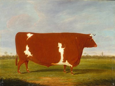 Um touro premiado em pé em uma paisagem de Thomas Weaver
