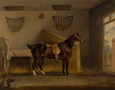 Um Bay Hunter selado em um estábulo, c.1819 (óleo sobre tela) de Thomas Weaver