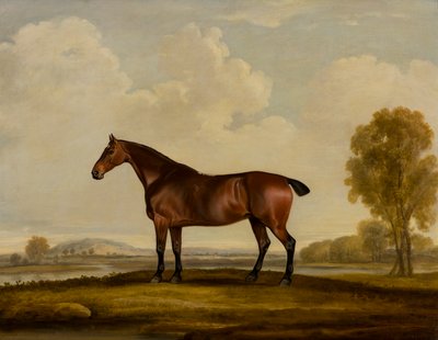 Georgiana: um cavalo, c.1819 (óleo sobre tela) de Thomas Weaver