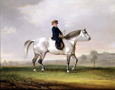 Mestre Edward Humphries no seu Pónei Cinzento de Thomas Weaver