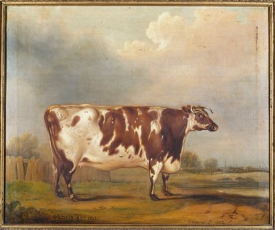 Wildair, uma novilha de oito anos em uma paisagem de rio, 1827 de Thomas Weaver