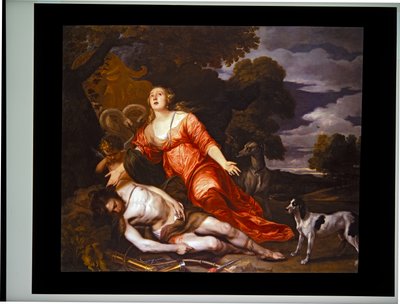 A morte de Adónis de Thomas Willeboirts Bosschaert