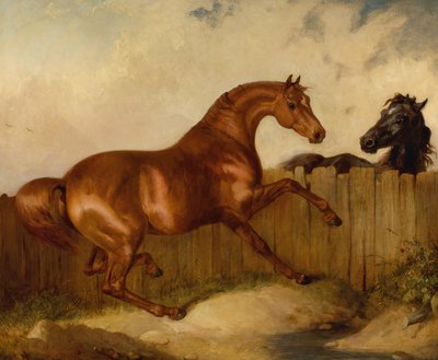 Garanhão e Égua (óleo sobre tela) de Thomas Woodward