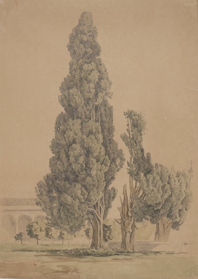 Ciprestes de Thorald Brendstrup