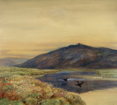 paisagem com pássaros de Thorolf Holmboe