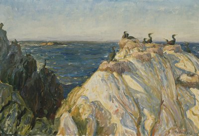 Ave marinha de Thorolf Holmboe