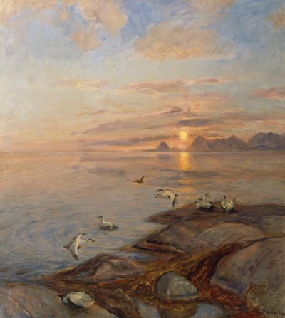 Aves marinhas ao sol da meia-noite (óleo sobre tela) de Thorolf Holmboe