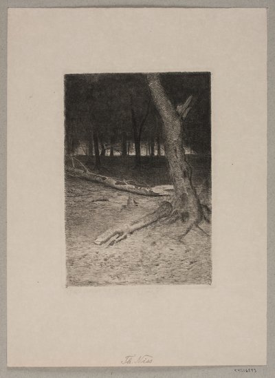 Interior da floresta. Tarde de Thorvald Niss
