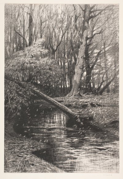 Paisagem da floresta com um riacho de Thorvald Niss