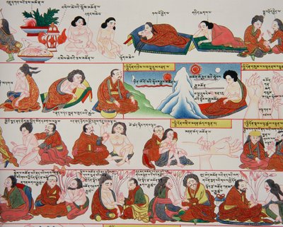 Manuscrito sobre medicina tibetana (detalhe de 389729) de Tibetan School