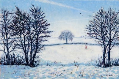 Uma caminhada de inverno de Tilly Willis
