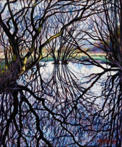 Reflexões Pond, 2009 de Tilly Willis
