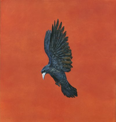 Shine-Red, (Aguarela e guache em papel Arches 640gsm,) 101,6 x 91,4cm de Tim Hayward