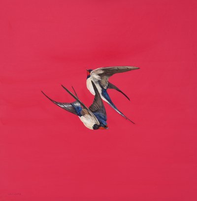 Redemoinho-Vermelho, Aguarela e guache no quadro da Aguarela, 50,8 x 50,8 cm de Tim Hayward